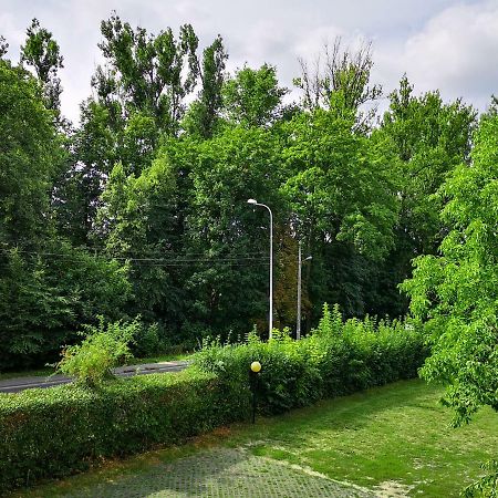 Willa Pory Roku Łódź Dış mekan fotoğraf
